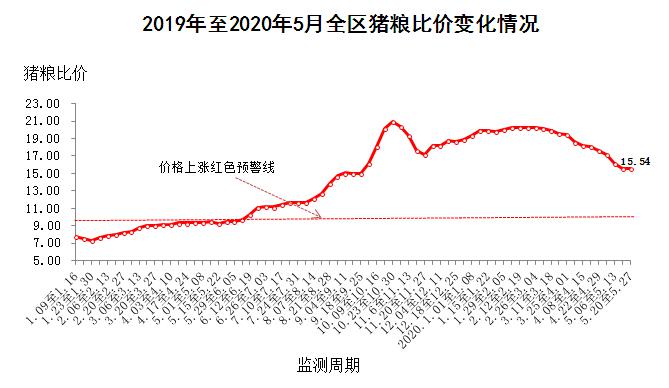 最新猪价行情分析