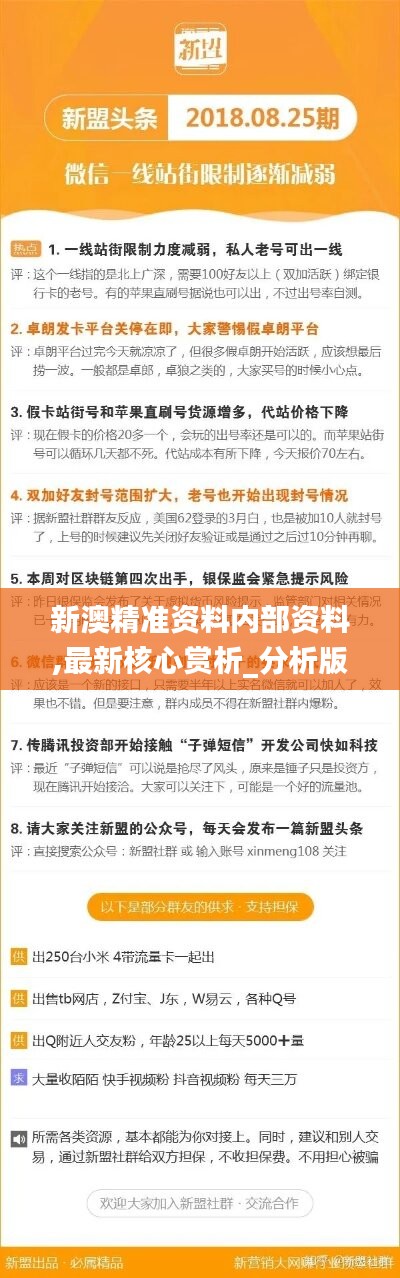 新澳精准资料免费大全，解析与落实精选指南