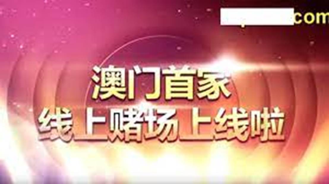 新澳门天天开奖资料解析与落实，警惕背后的风险与挑战