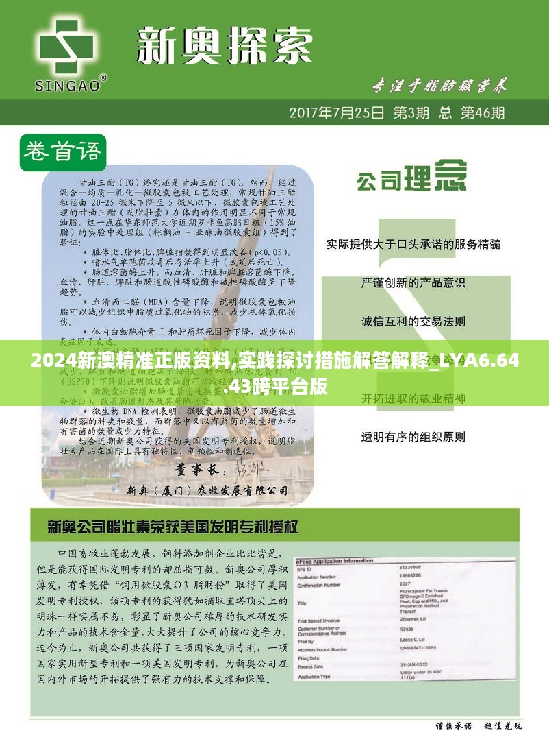 揭秘2024年新澳精准资料，精选解析与落实策略