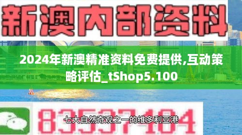 新澳2024正版资料免费公开，精选解释解析与落实的重要性