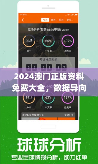 澳门王中王100%正确答案最新章节与精选解释解析落实研究