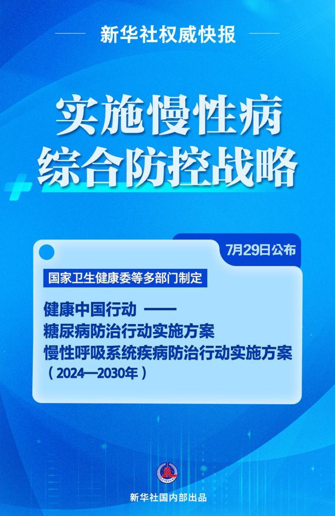 新澳精准资料大全，解析与落实策略