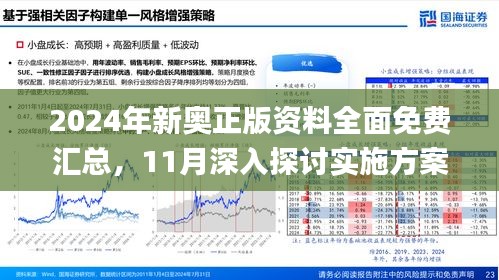 揭秘2024新奥精准正版资料，深度解析与落实策略