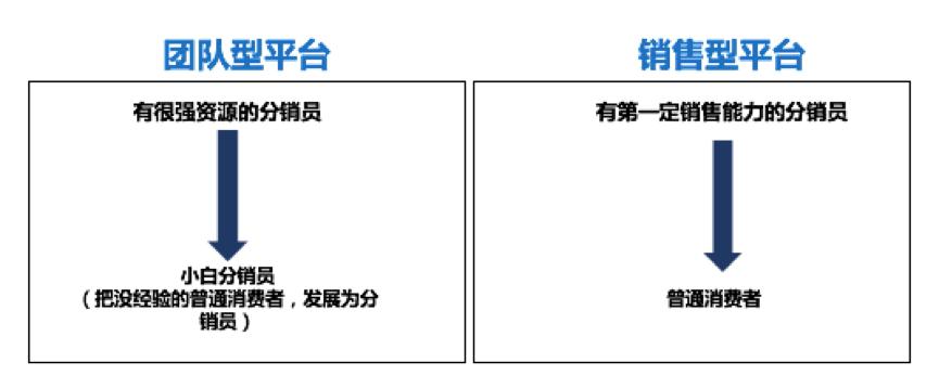 澳门彩票背后的秘密，解析犯罪现象与应对之道