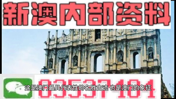 关于2024新澳门正版资料免费大全与福彩公益网的探讨，解析与落实的重要性