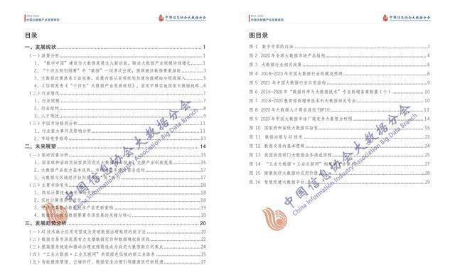 全年资料免费大全，精选解释解析落实