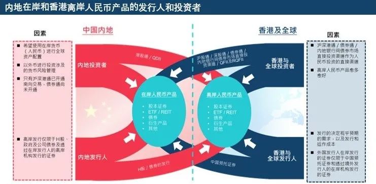 探索香港，2024年正版资料大全视频与精选解析落实的深度解析