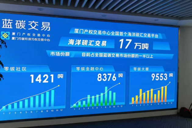 澳门一肖中100%期期准，解析与应对的探讨