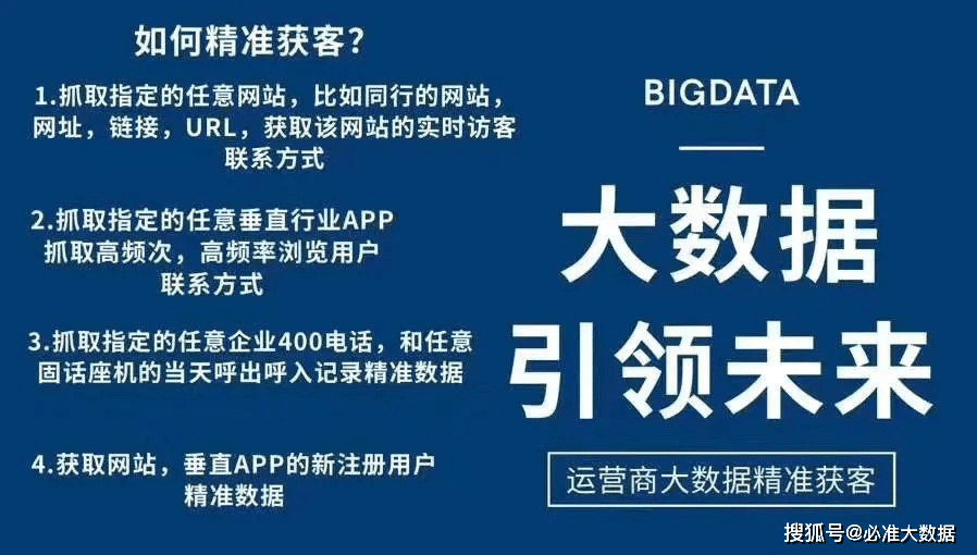 新澳精准资料，精选解释、深度解析与有效落实